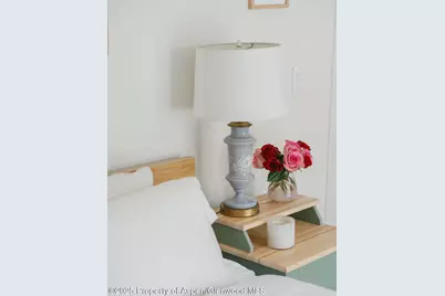 333 W Main Street #B2, Aspen, CO 81611 - Photo 17