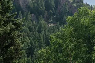 333 W Main St, Aspen, CO 81611 - Photo 15