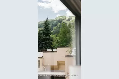 333 W Main Street #B2, Aspen, CO 81611 - Photo 13