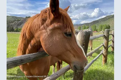 000 Lazy O Road Lot #4, Snowmass, CO 81654 - Photo 9