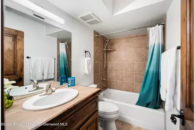 1460 Main Street, Carbondale, CO 81623 - Photo 11