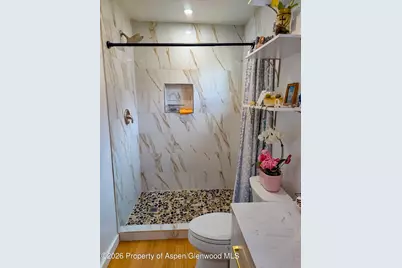 1713 Grand Avenue, Glenwood Springs, CO 81601 - Photo 23