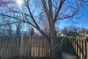 681 S 2nd St, Carbondale, CO 81623 - Photo 15