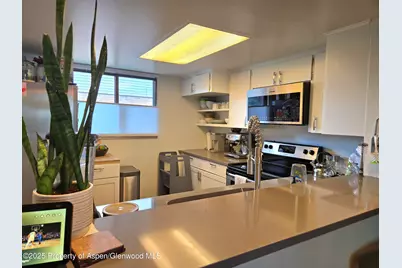 681 S 2nd Street #G, Carbondale, CO 81623 - Photo 3