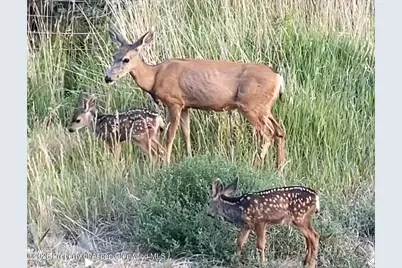 5792 County Road 309, Parachute, CO 81635 - Photo 39