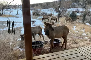 5792 Co Rd 309, Parachute, CO 81635 - Photo 43