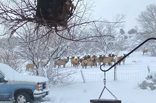 5792 Co Rd 309, Parachute, CO 81635 - Photo 41