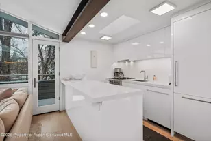 1001 E Cooper Ave, Aspen, CO 81611 - Photo 7