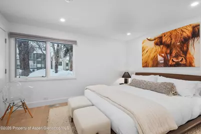 1001 E Cooper Avenue #1, Aspen, CO 81611 - Photo 15