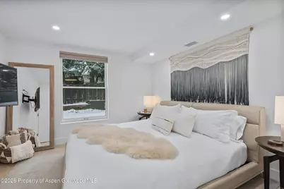 1001 E Cooper Avenue #1, Aspen, CO 81611 - Photo 13