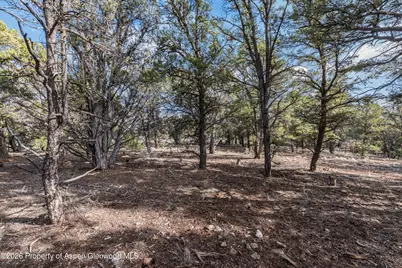 3376 Elk Springs Drive, Glenwood Springs, CO 81601 - Photo 13