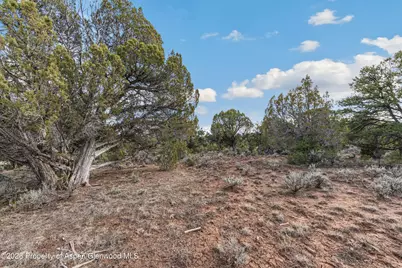 3376 Elk Springs Drive, Glenwood Springs, CO 81601 - Photo 17