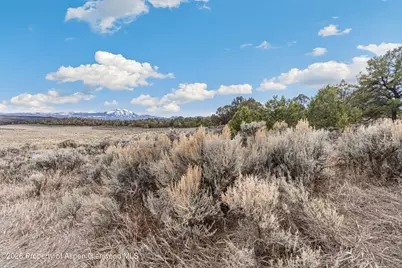 3376 Elk Springs Drive, Glenwood Springs, CO 81601 - Photo 15