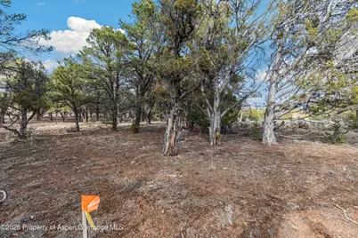 3376 Elk Springs Drive, Glenwood Springs, CO 81601 - Photo 5