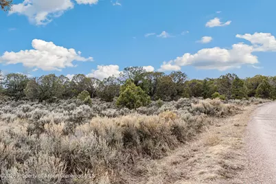 3376 Elk Springs Drive, Glenwood Springs, CO 81601 - Photo 11
