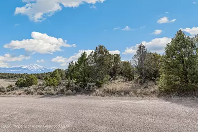 3376 Elk Springs Drive, Glenwood Springs, CO 81601 - Photo 9