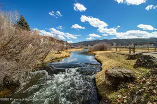 31 Brown Ct, Carbondale, CO 81623 - Photo 29