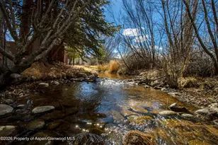 31 Brown Ct, Carbondale, CO 81623 - Photo 5
