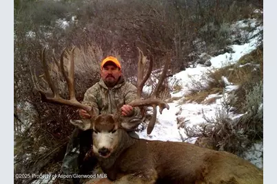 Tbd County Road 117, Glenwood Springs, CO 81601 - Photo 55