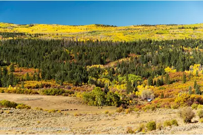 Tbd County Road 117, Glenwood Springs, CO 81601 - Photo 31