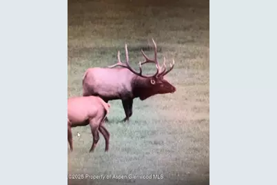 Tbd County Road 117, Glenwood Springs, CO 81601 - Photo 51