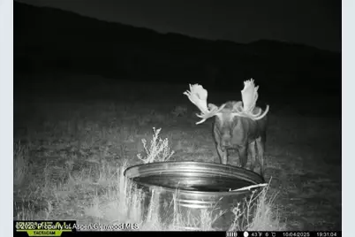 Tbd County Road 117, Glenwood Springs, CO 81601 - Photo 71