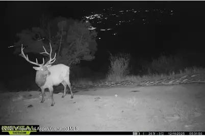 Tbd County Road 117, Glenwood Springs, CO 81601 - Photo 75