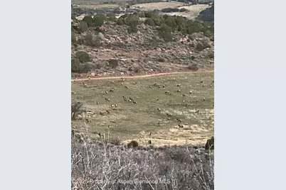 Tbd County Road 117, Glenwood Springs, CO 81601 - Photo 69