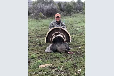 Tbd County Road 117, Glenwood Springs, CO 81601 - Photo 63