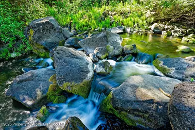 Tbd County Road 117, Glenwood Springs, CO 81601 - Photo 25