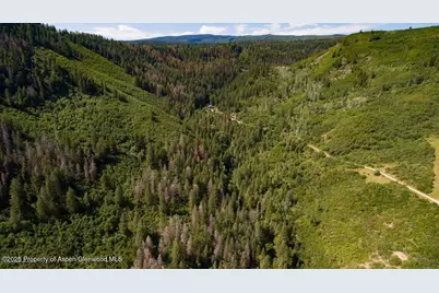 Tbd County Road 117, Glenwood Springs, CO 81601 - Photo 15