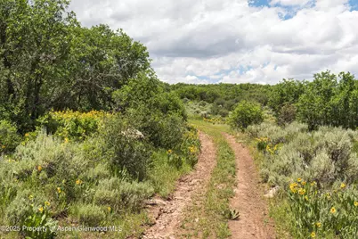 Tbd County Road 117, Glenwood Springs, CO 81601 - Photo 7