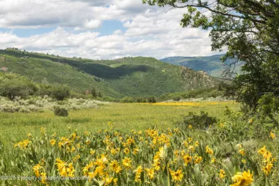 Tbd County Road 117, Glenwood Springs, CO 81601 - Photo 47