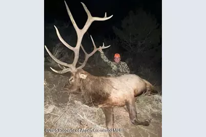 Tbd County Road 117, Glenwood Springs, CO 81601 - Photo 53