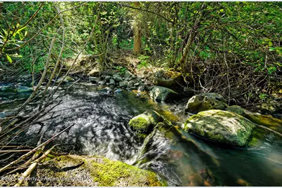 Tbd County Road 117, Glenwood Springs, CO 81601 - Photo 17