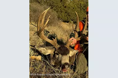 Tbd County Road 117, Glenwood Springs, CO 81601 - Photo 59