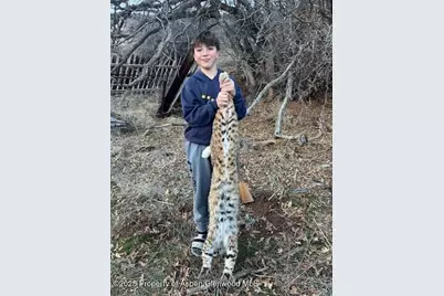 Tbd County Road 117, Glenwood Springs, CO 81601 - Photo 67