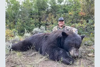 Tbd County Road 117, Glenwood Springs, CO 81601 - Photo 61