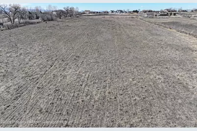 1403 19 Road, Fruita, CO 81521 - Photo 31