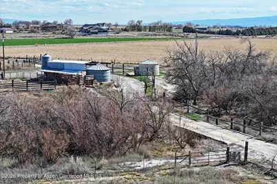 1537 19 Road, Fruita, CO 81521 - Photo 23
