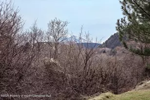 2822 Hager Ln, Glenwood Springs, CO 81601 - Photo 19