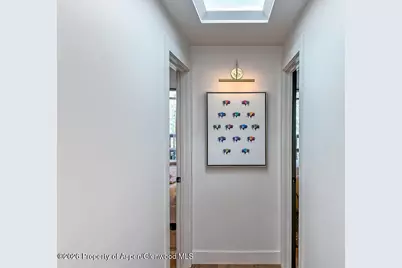 803 E Durant Avenue #8, Aspen, CO 81611 - Photo 21