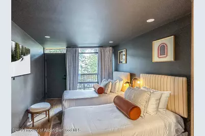 803 E Durant Avenue #8, Aspen, CO 81611 - Photo 19