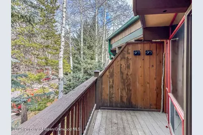 803 E Durant Avenue #8, Aspen, CO 81611 - Photo 25