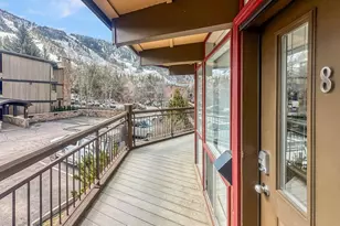 803 E Durant Ave, Aspen, CO 81611 - Photo 23