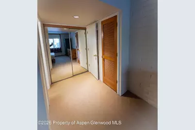 212 Vine Street #212, Aspen, CO 81611 - Photo 7