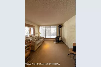 212 Vine Street #212, Aspen, CO 81611 - Photo 5