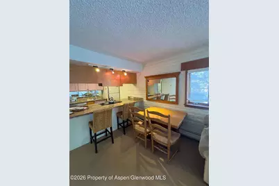 212 Vine Street #212, Aspen, CO 81611 - Photo 1