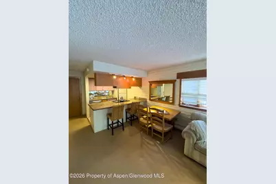 212 Vine Street #212, Aspen, CO 81611 - Photo 3