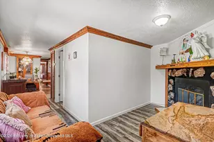 5387 County Road 154, Glenwood Springs, CO 81601 - Photo 7